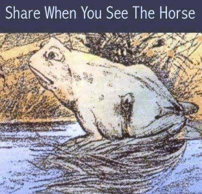 Vidiš li žabu ili konja?