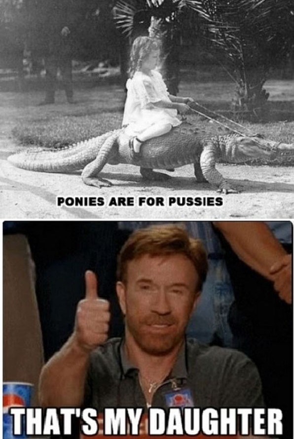 Da Chuck Norris ima dijete..