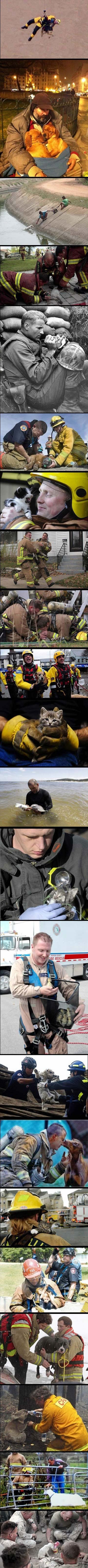 Dobri ljudi spašavaju životinjice u nevolji