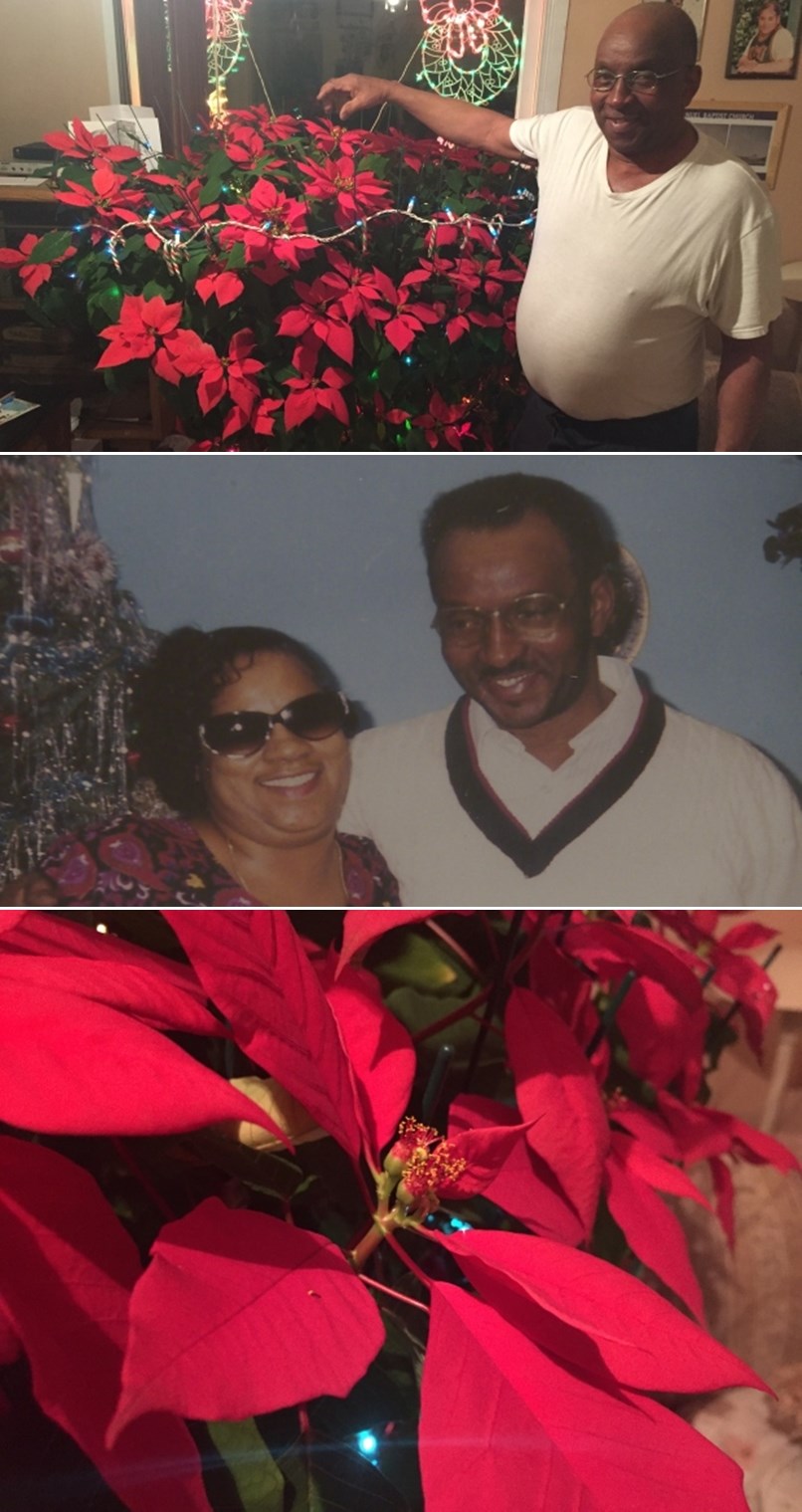 Udovac već 19 godina uzgaja ženinu biljku, ali pogledajte zašto je zovu biološkim čudom!