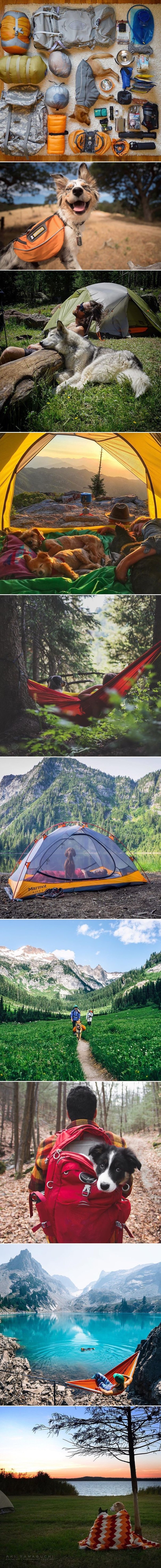 GALERIJA: Uz najboljeg prijatelja kampiranje je uvijek ljepše