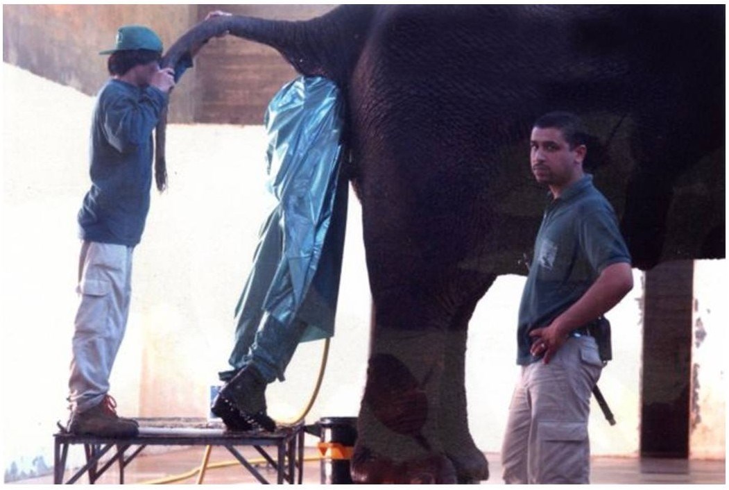 Nikad više ne kukaj da je ponedjeljak i posao ti je koma