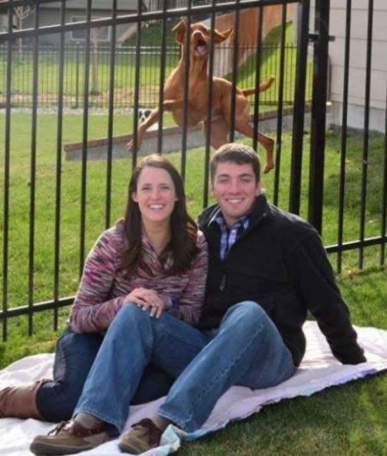 Rijetka vrsta blesopsa uhvaćena na romantičnoj fotki