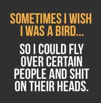 Budi slobodan k'o ptica, seri im u lica