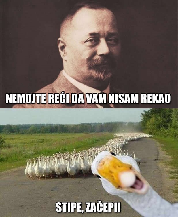 Odzvanja li iz daljine vapaj guske u magli?