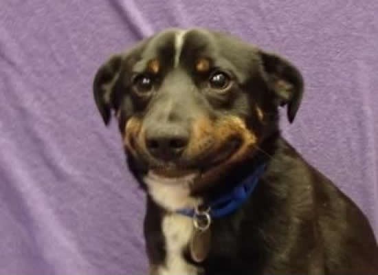 Ajme, majko, šta da radim s facom!?