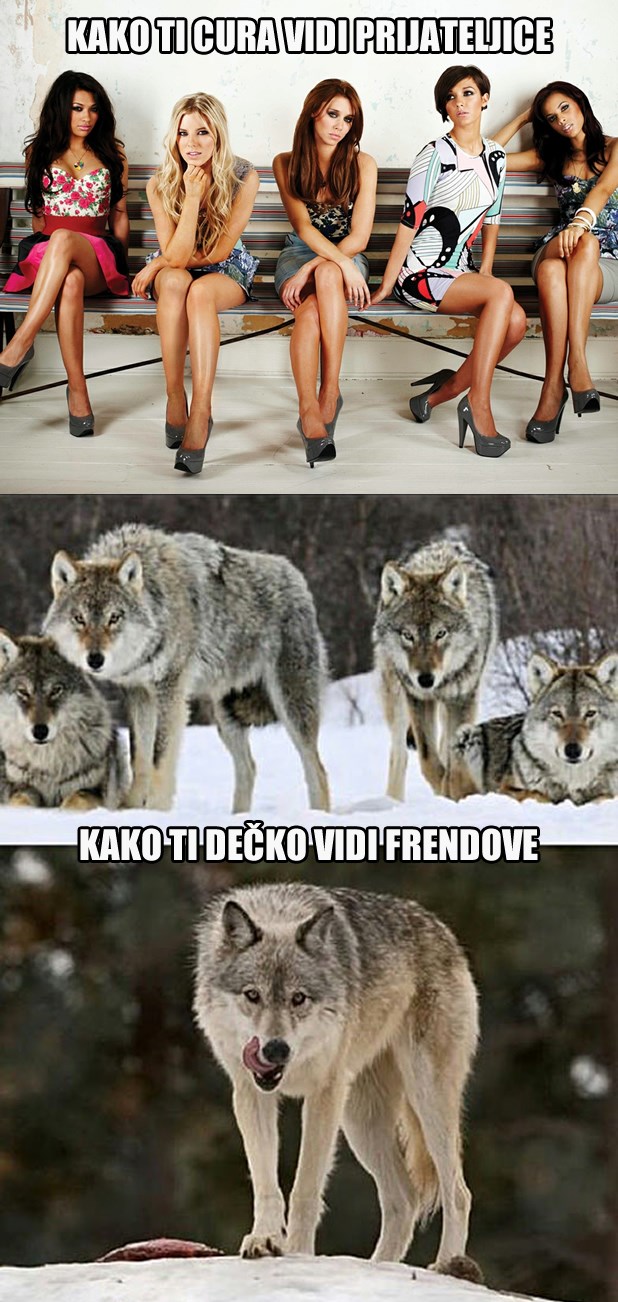 Kako ti cura vidi frendice, a ti njene muške prijatelje?