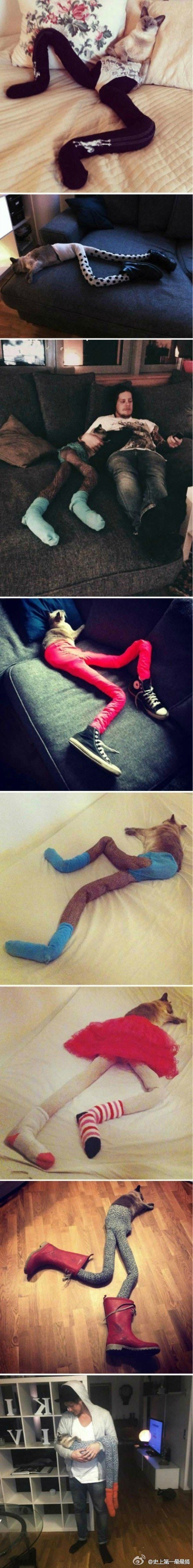 Bizarni novi trend obuzeo internet 