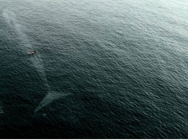 neke stvari je bolje ne znati..