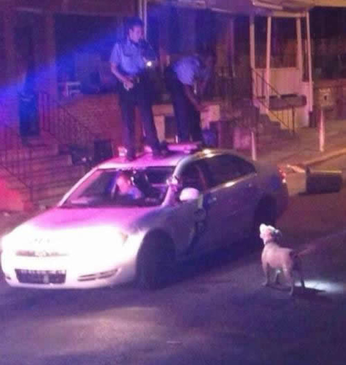 Pametni policajci poštedili psa