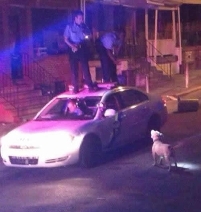 Pametni policajci poštedili psa