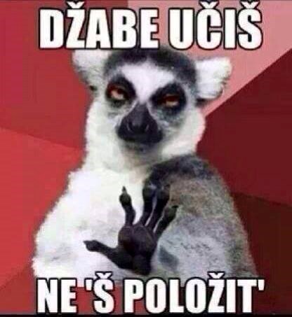 Za sve studente