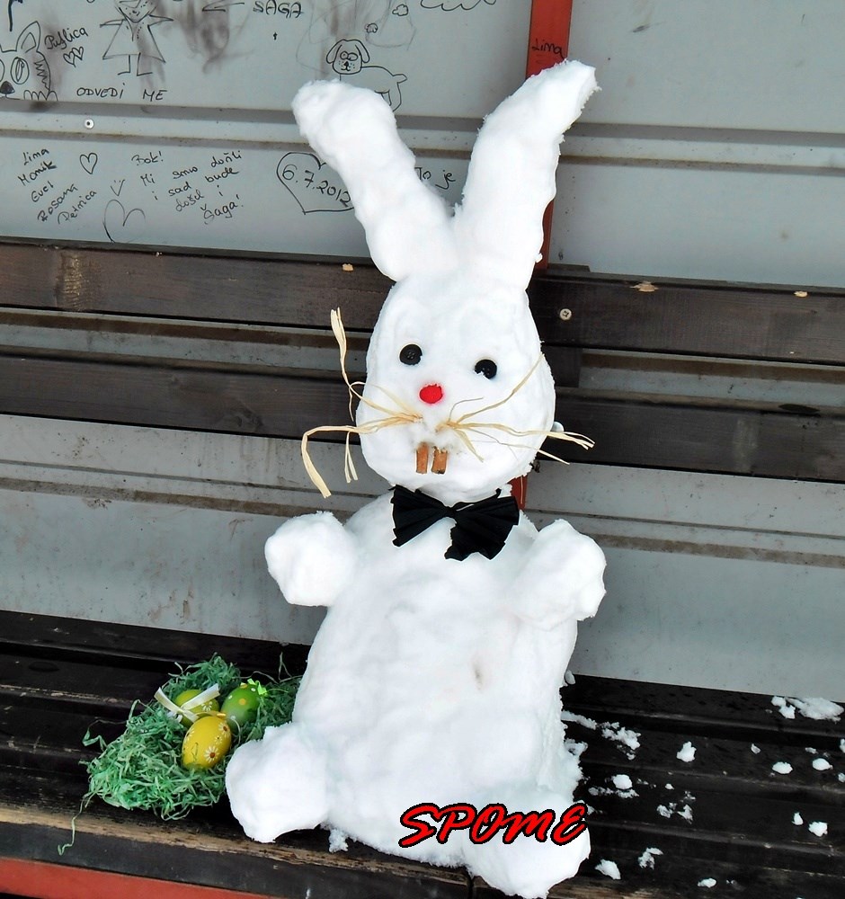 Snježni zeko - sjeo je i čeka proljeće u Varaždinu