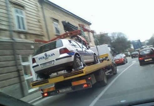 Pauk odvezao murju: Probaj se ne osmijehnuti i zakikotati