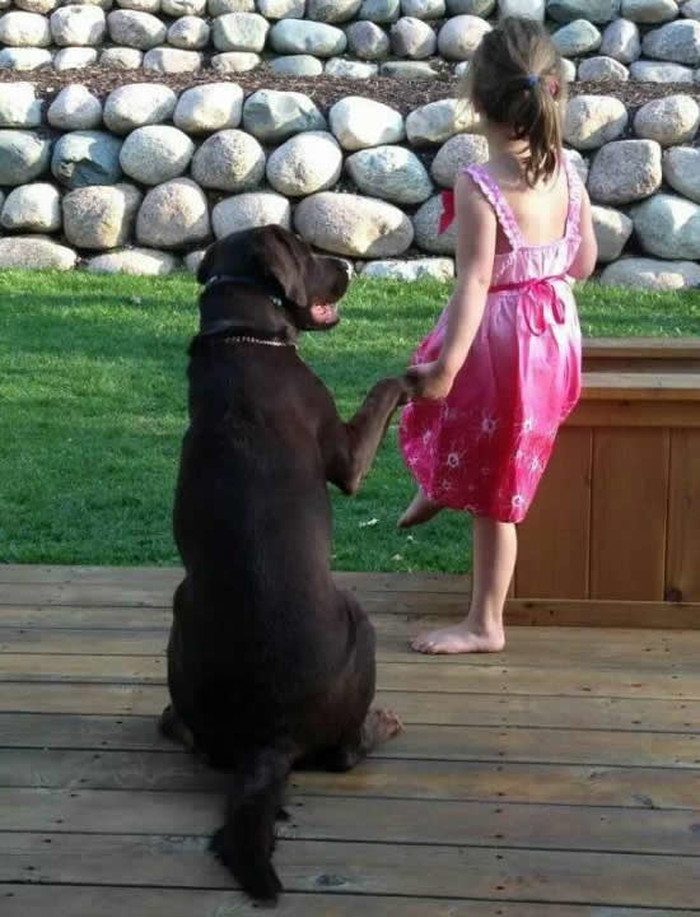 Ljubav