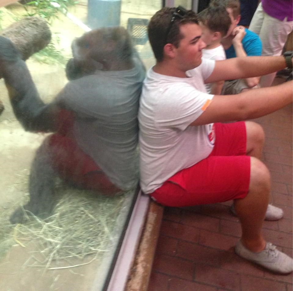 Svaki majmun ima svoje veselje