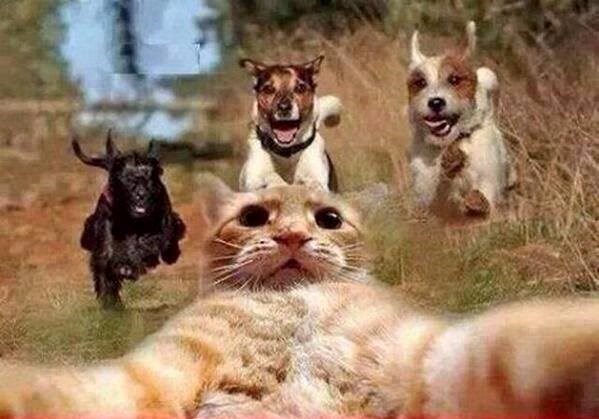 ovako se radi selfie..