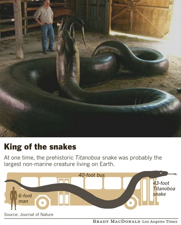 Titanoboa: Zmija veličine autobusa