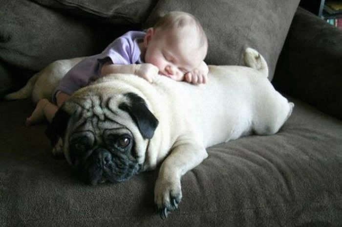 Pipni maloga i imat ćeš posla sa mnom!