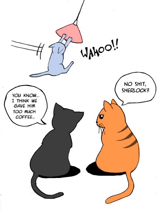 Uz kavu je jutro življe :D