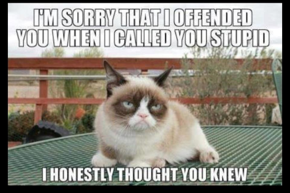 Legendarna isprika mrzovoljnog mačka