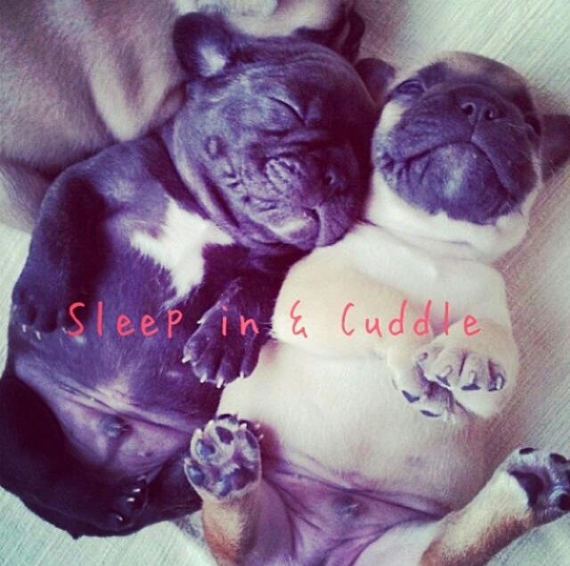 Najslađi je spavanac u paru