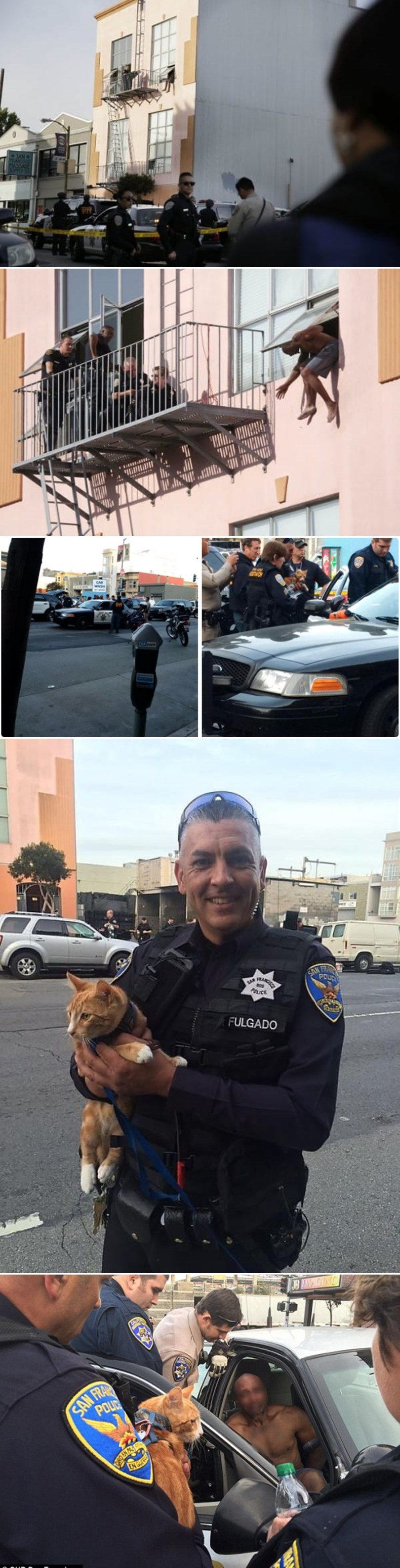 GALERIJA: Nikad ne podcjenjuj ljubav vlasnika prema svom ljubimcu