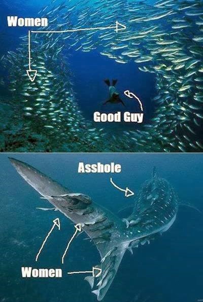 Kako kod žena prolaze dobrice i idioti