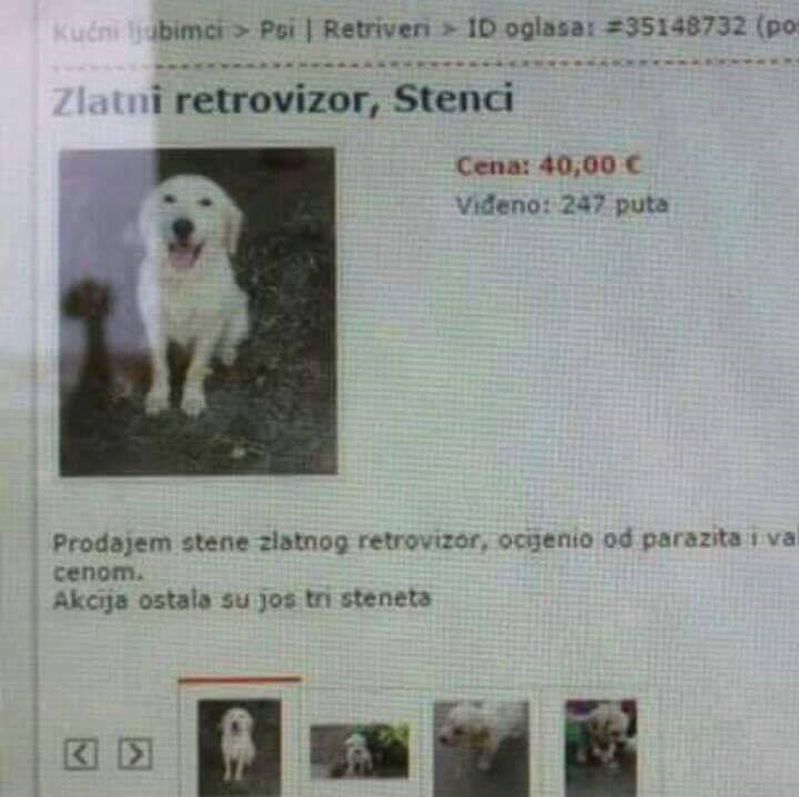 Kada ni sam ne znaš što prodaješ