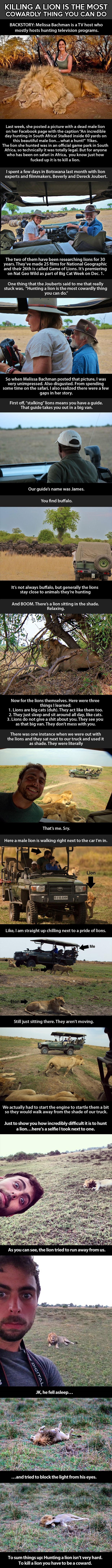 Samo kukavice ubijaju lavove