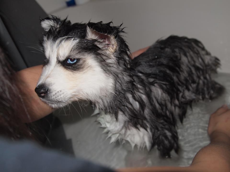 Znam di spavaš, čovječe.. kad se osušim, pomoli se!