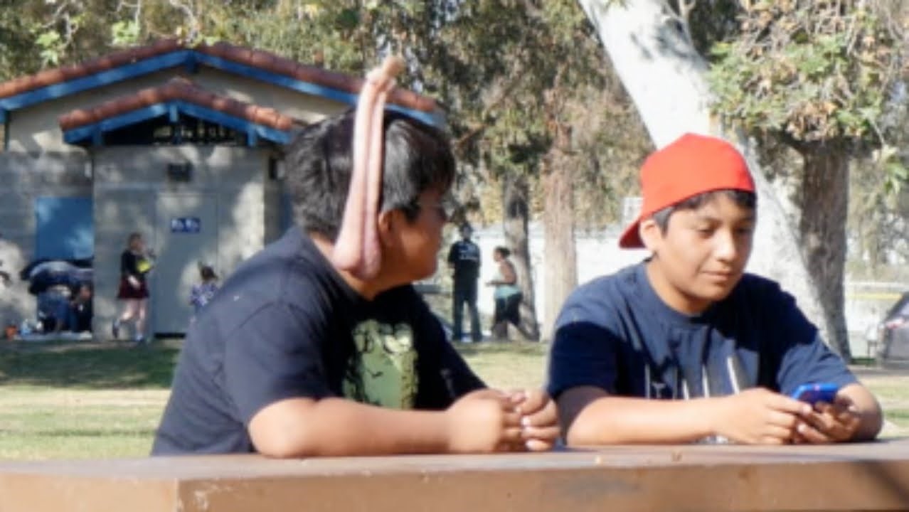 VIDEO: Prikačili umjetna muda na drona i pipkali ljude