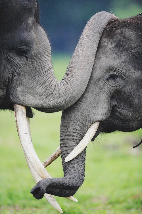 Klinci brzo rastu, pomazi ih dok im još ne smeta :)