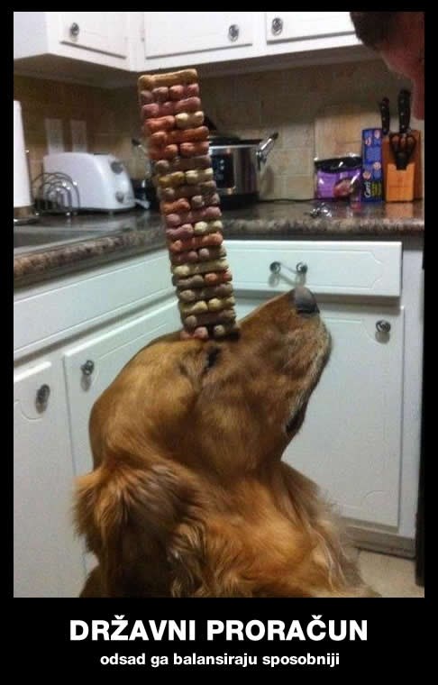 Sori, Liniću, našli smo sposobniji kadar