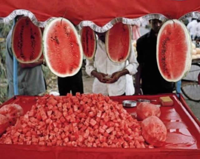 Veganska klaonica