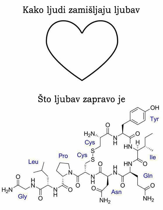 Što je ljubav - kemija ili nešto više?