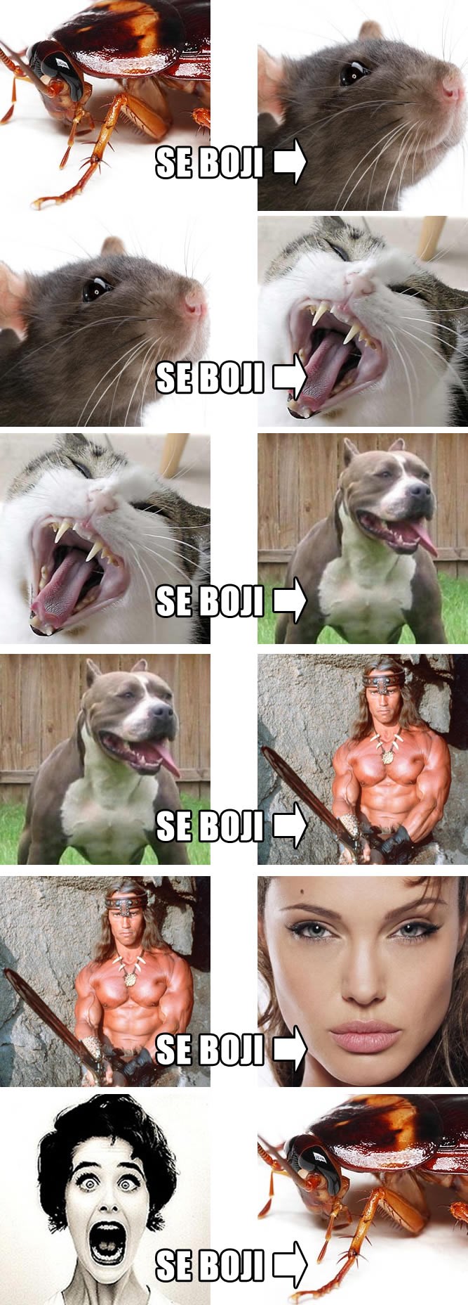 Ljestvica straha dokazala: Muškarci se boje žena!