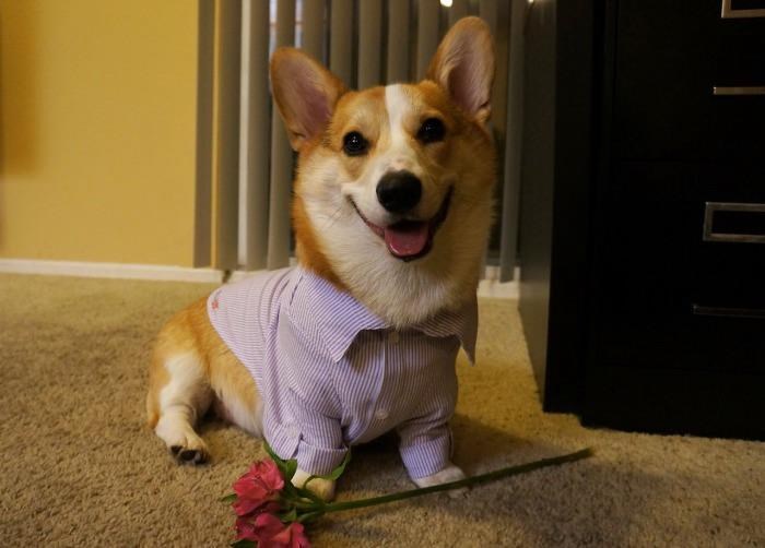 Ušminkani gospodičić te vodi na romantičnu večeru