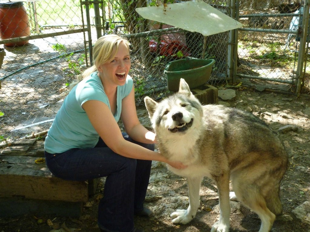 Ma Crvenkapice, ne bi ja nikad, pa gle me dobrog!