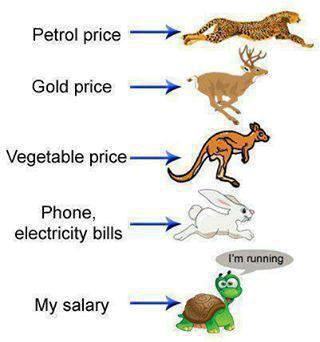 Tvoja plaća u utrci sa cijenama: Kako joj ide?
