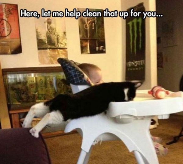 Najbolji prijatelj uvijek pomaže