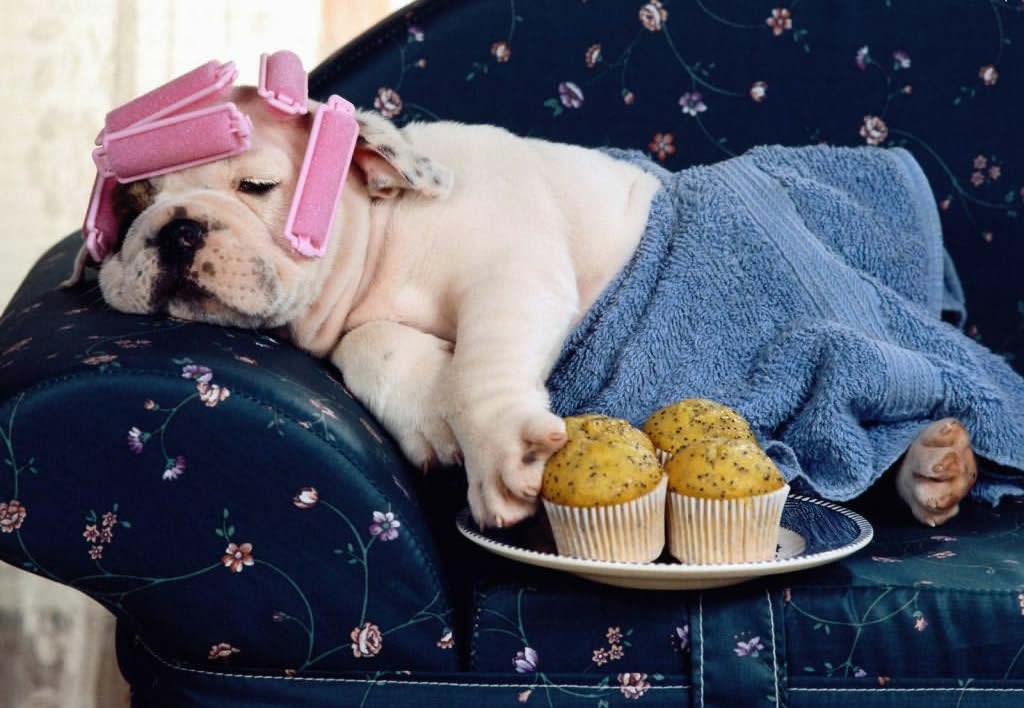 Katica još uvijek razmišlja koje cipele