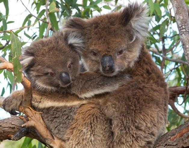 U mekom zagrljaju je najslađe