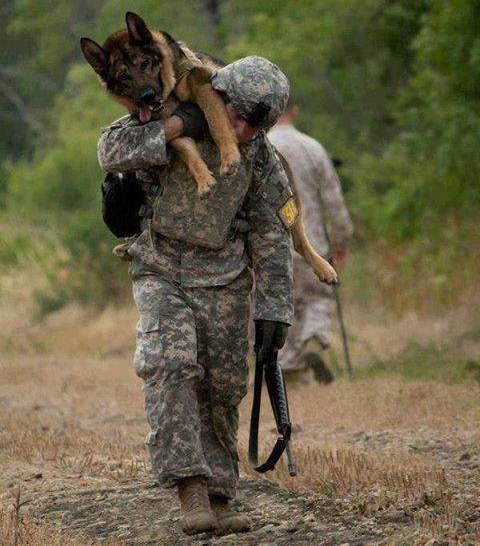 Šape su umorne, ali tu je njegov čovjek da ga ponese dalje