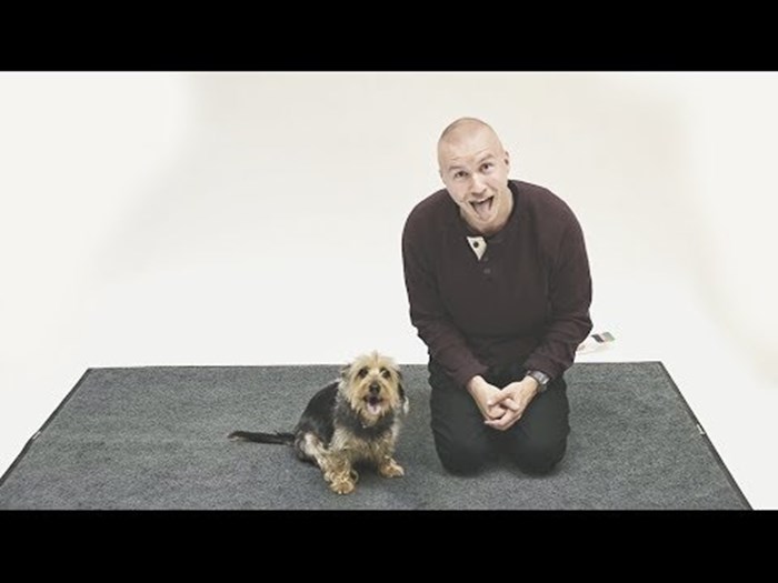 VIDEO: Jeste li ikad zalajali na svog psa da vidite kako će reagirati? E, pa oni jesu i reakcije su urnebesne