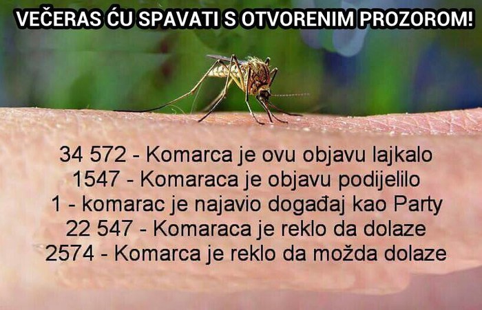 kad bi komarci imali FB