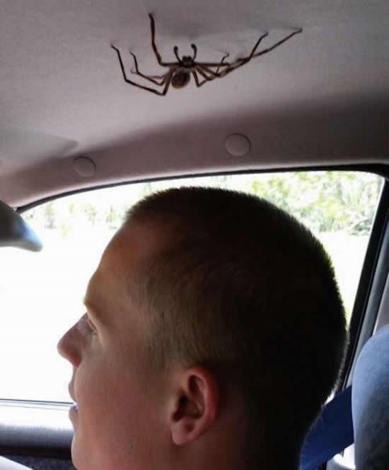 Nekad je bolje ne znati