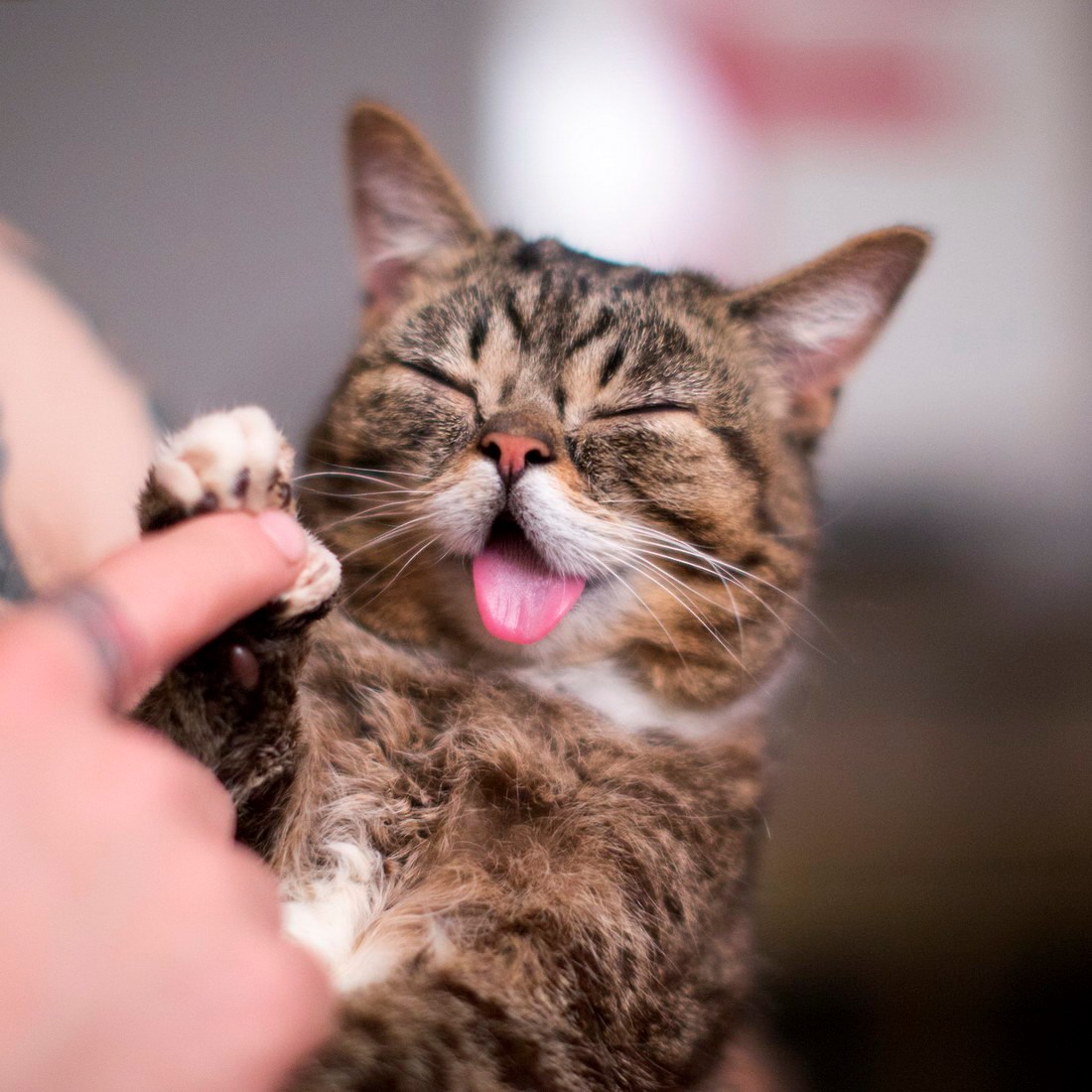 Mica maca dočekala vrijeme za igru