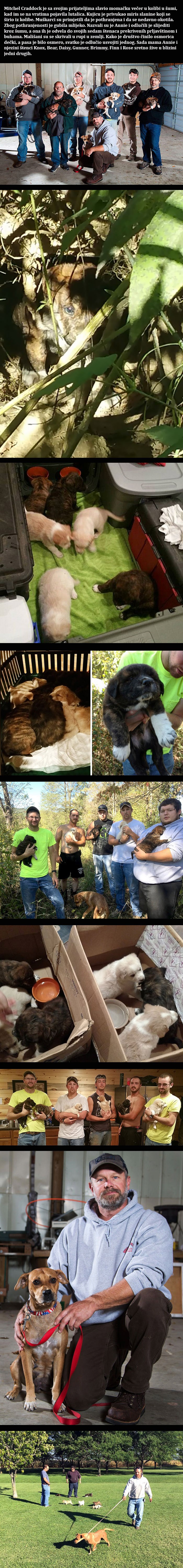 Ljudi dobra srca: Pothranjena lutalica upala na momačku večer 