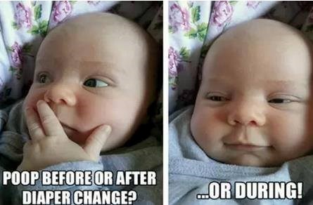 Bebač u teškoj dilemi